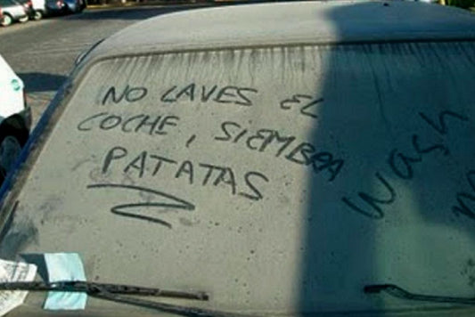 Pijamas para carros: Protege tu auto con los mejores forros